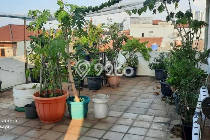 Jual Rumah Mewah Elegan Dengan View Eksklusif di Green garden, Jakarta Barat Jual Rumah Mewah Elegan Dengan View Eksklusif di Green garden, Jakarta Barat