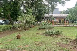 Taman Palem Lestari Taman Palem Lestari